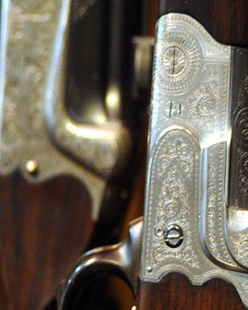 Occasions sélectionnées